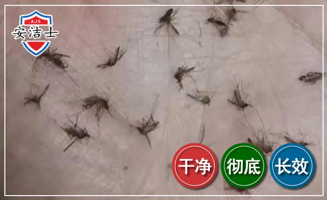 乐清蚊子防治-灭蚊