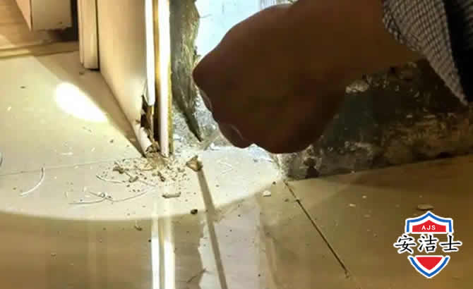 乐清房屋建筑防治白蚁