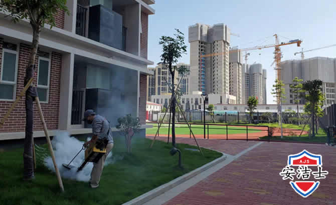 乐清工厂工地除白蚁