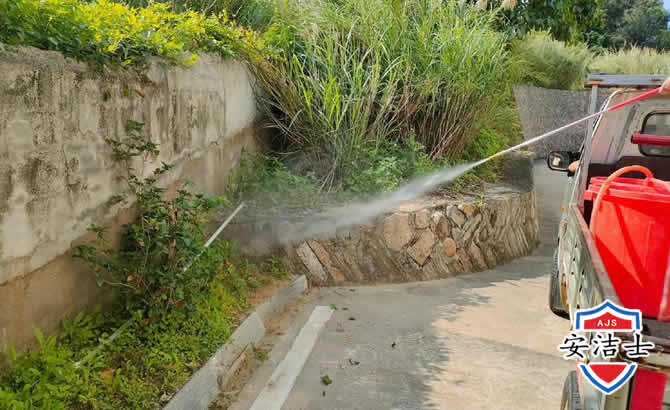 乐清道路堤坝白蚁防治