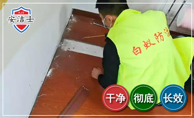 乐清除四害现场