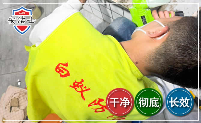 乐清白蚁根治现场